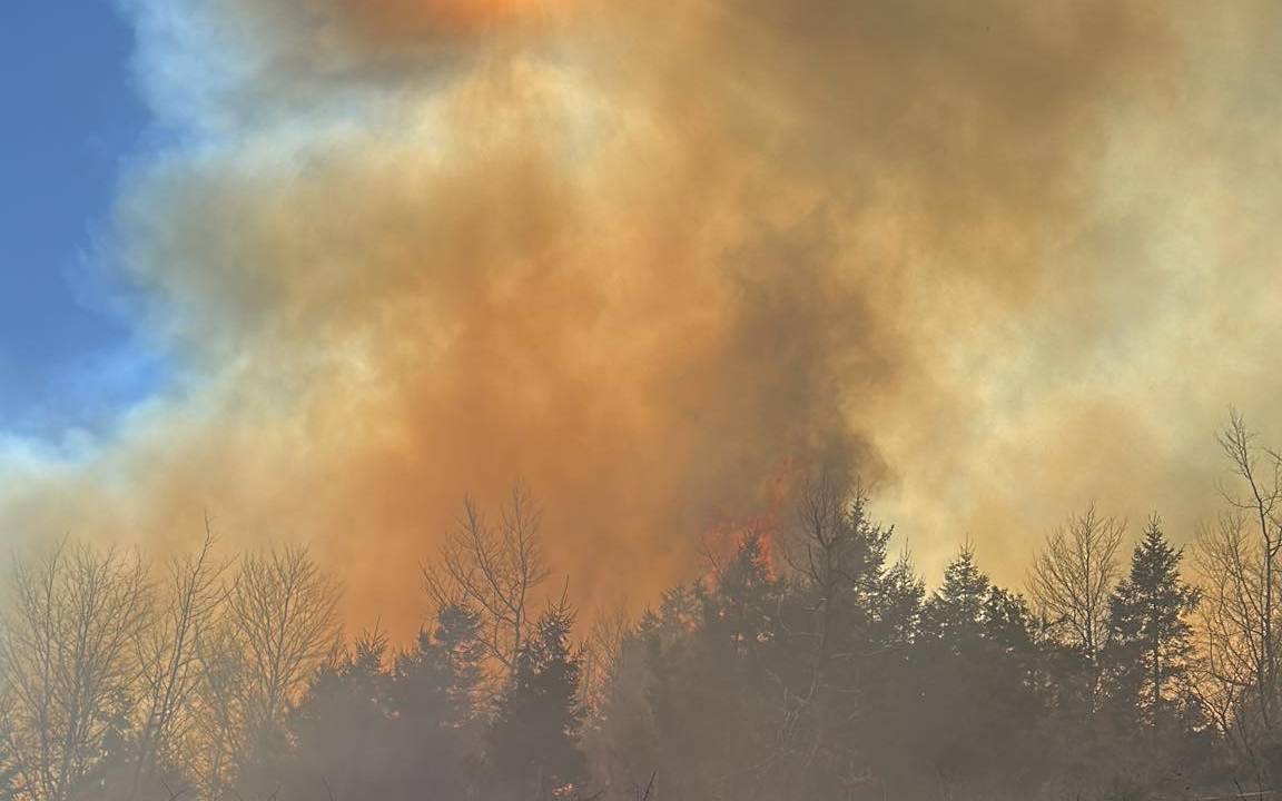 In Feudingen hat auf 40.000 Quadratmetern der Wald gebrannt.