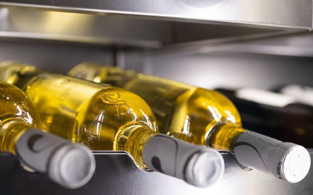 Weißweinflaschen liegen in einem Weinkühlschrank