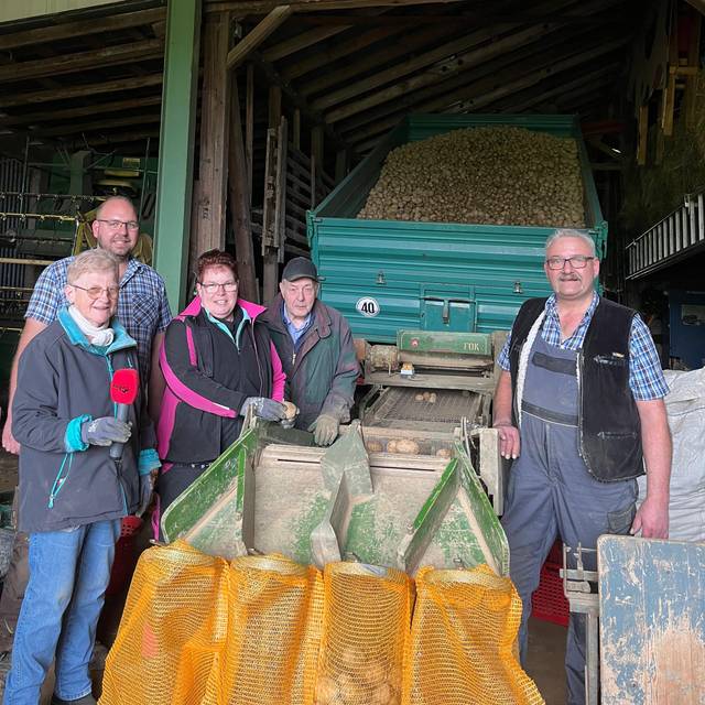 Kartoffelernte läuft in Anzhausen: Familie Hoffmann hat den Hänger voll