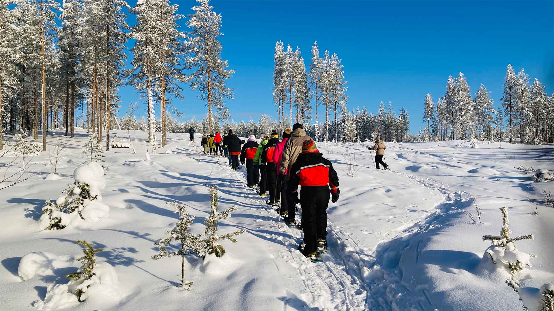 IDEAL REISEN-Busreise-Gruppe bei einer Winterwanderung in Skandinavien