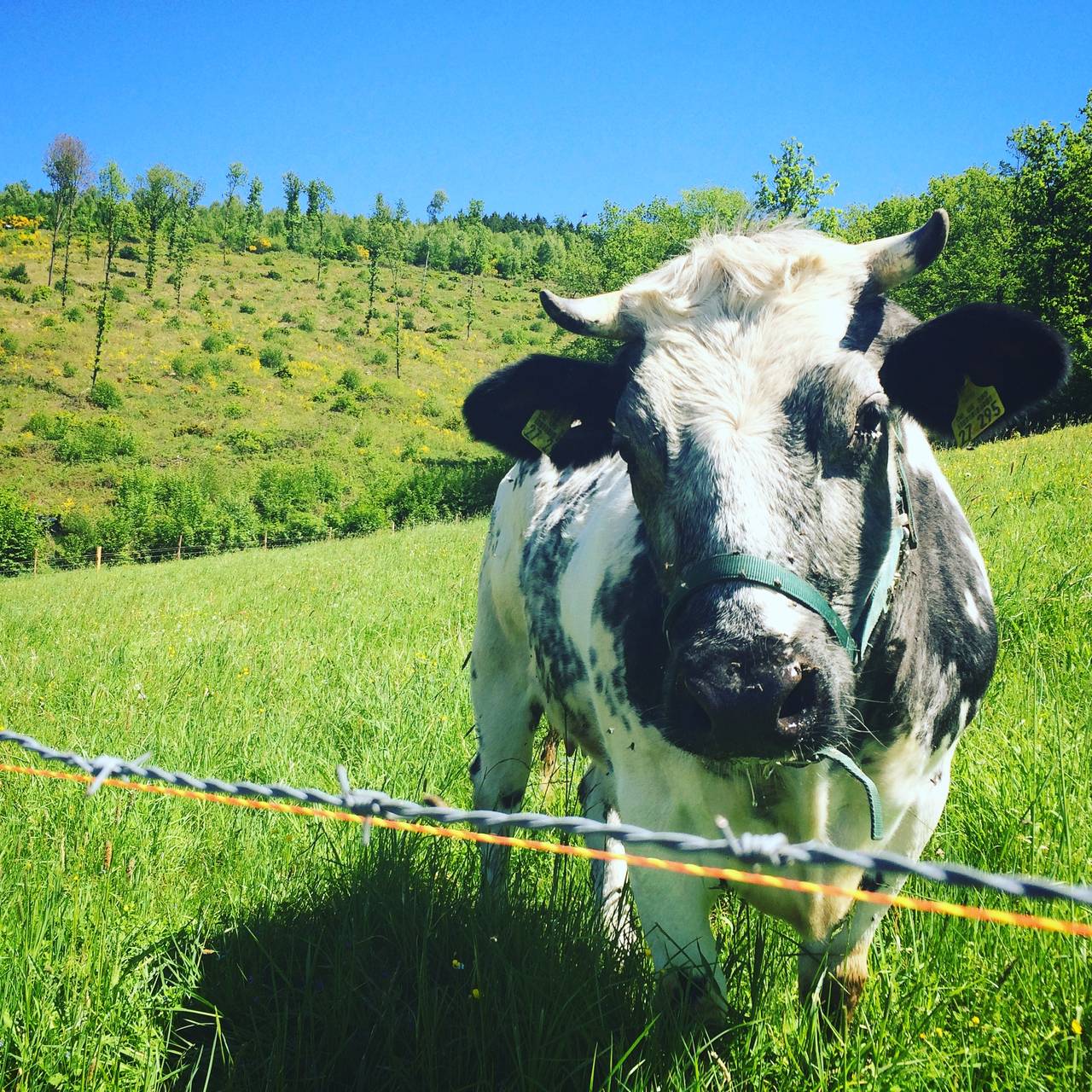 Ann-Christin Schmidt