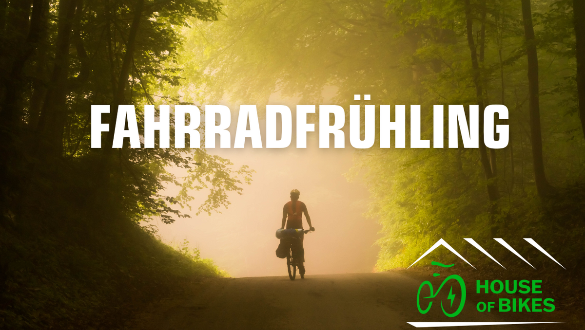 Fahrradfahrerin im Wald 