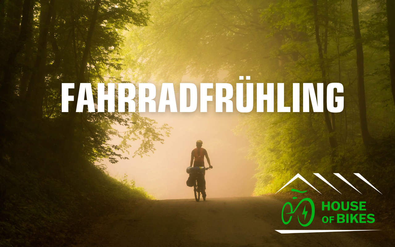 Fahrradfahrerin im Wald 