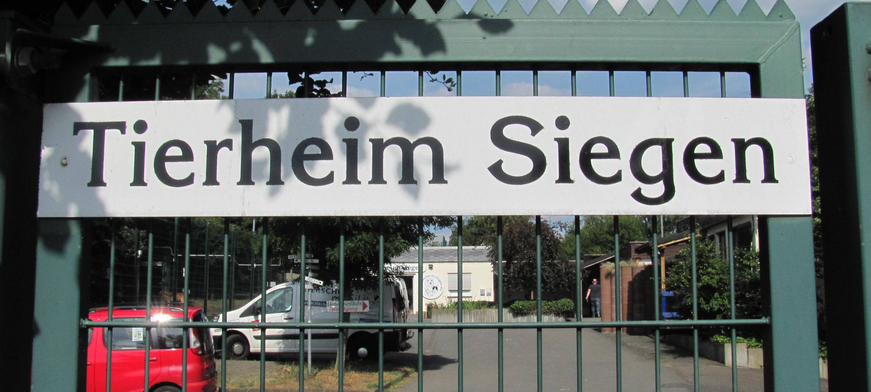 Siegener Tierheim bis Freitag geschlossen