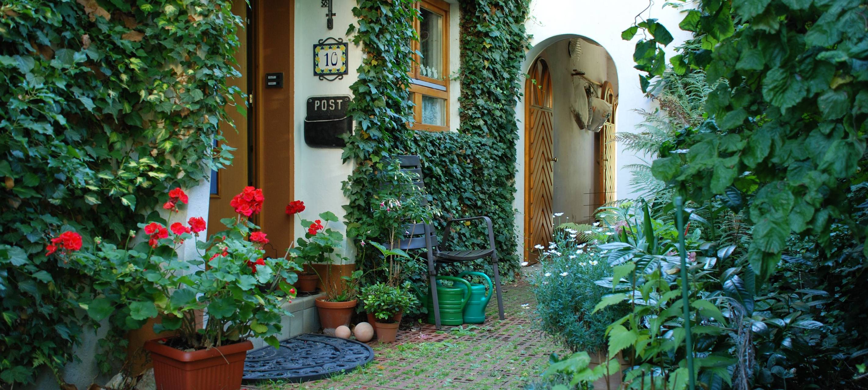 Die Stadt Siegen fördert Dach- und Fassadenbegrünung