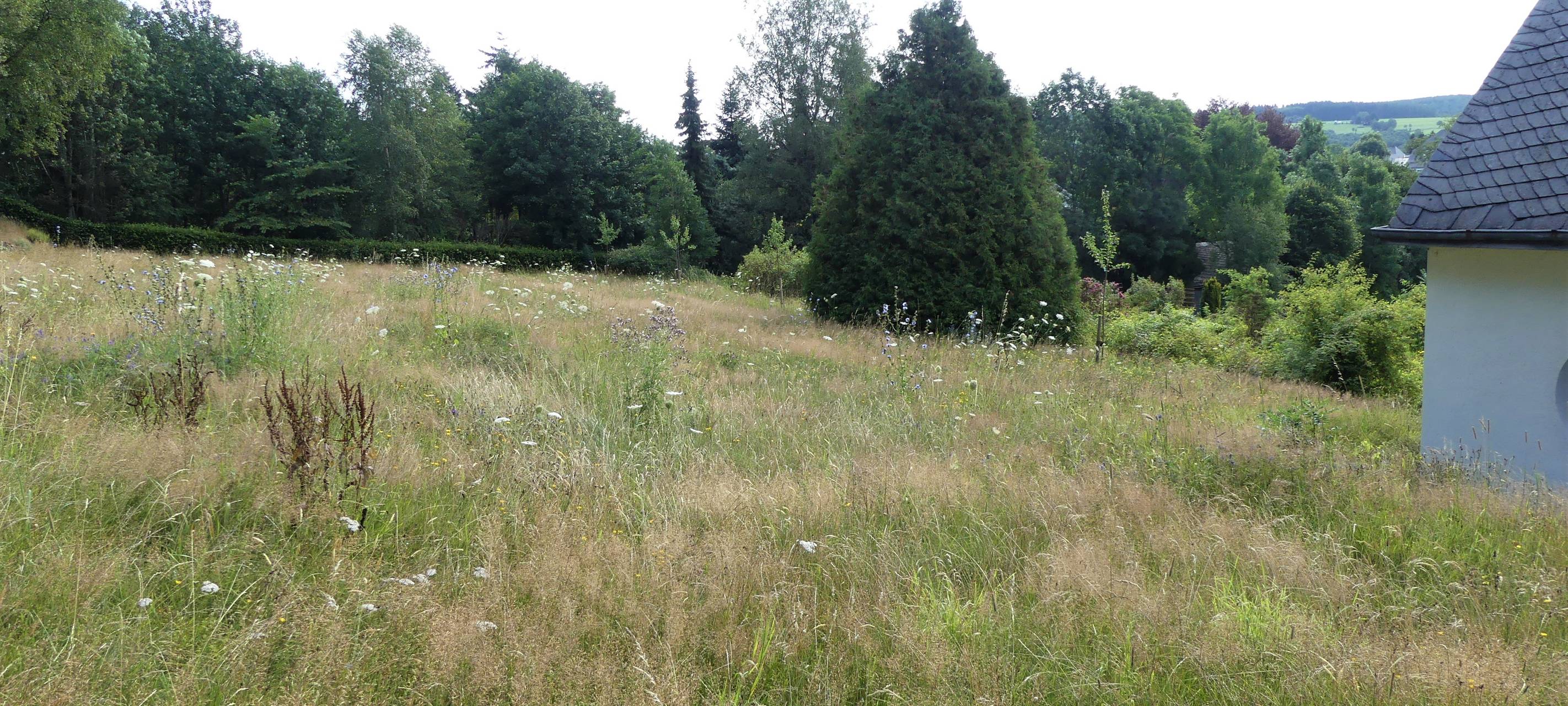 Gemeinde Erndtebrück schafft der Natur mehr Raum