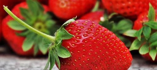 Wilnsdorfer Tafel zieht um