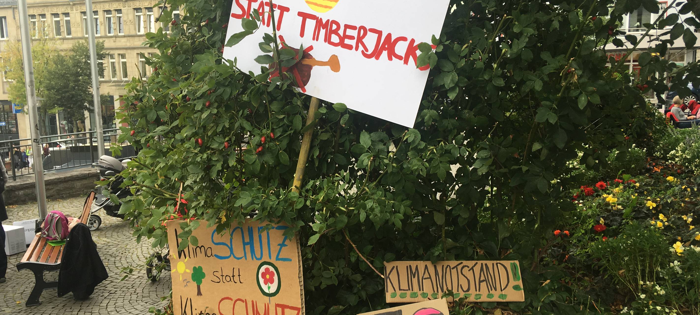 Wird in Siegen der Klimanotstand ausgerufen?