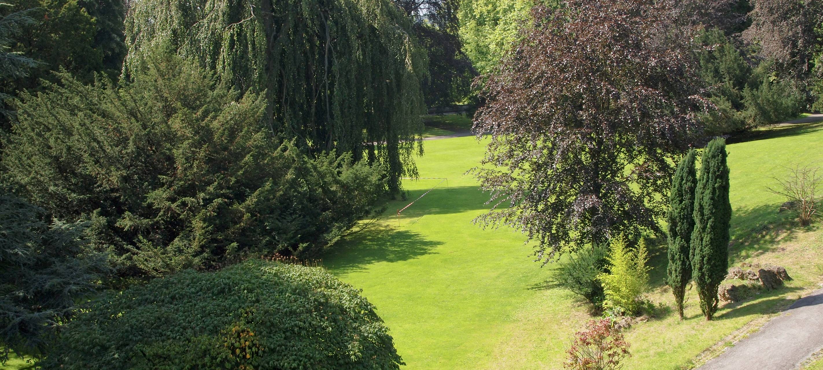 Neues Bewässerungssystem für Siegener Bäume