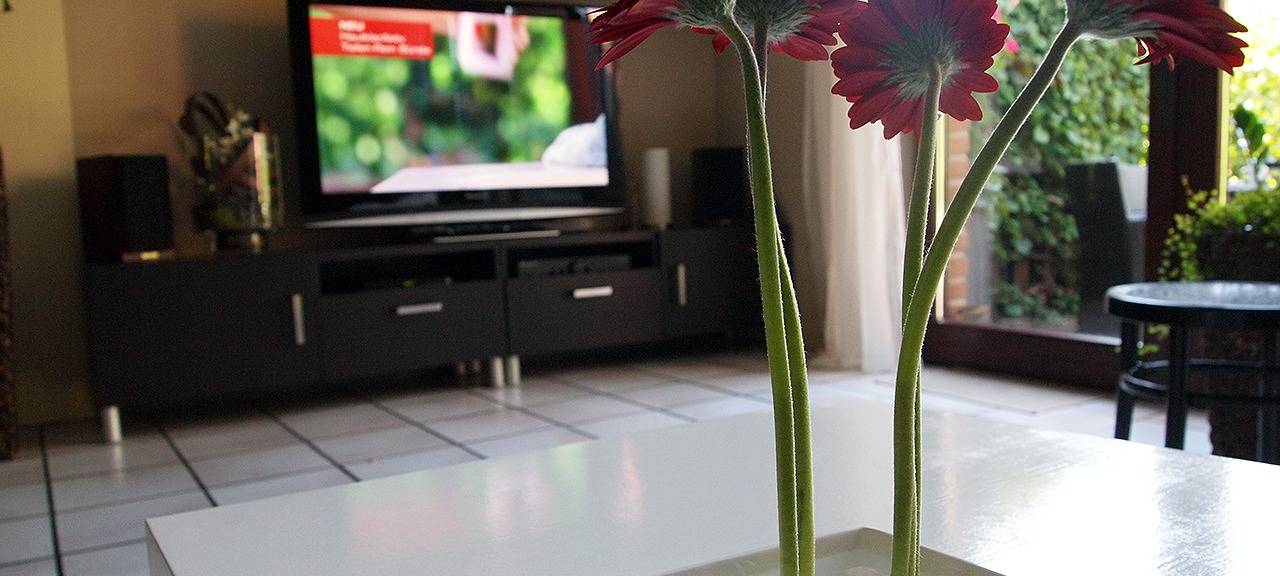 Eigenheime in Siegen kaum leistbar