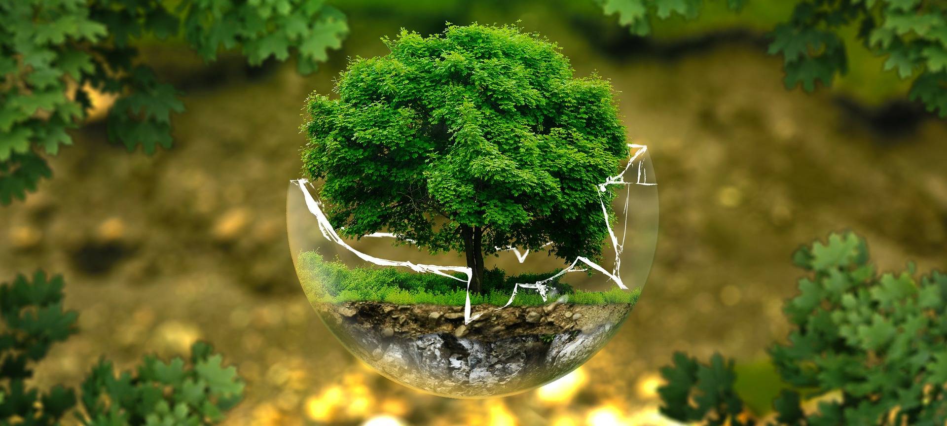 Knapp die Hälfte aus dem Fördertopf ist schon weg