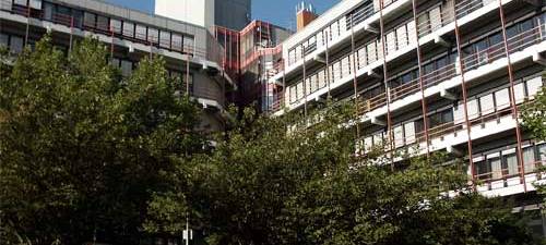 Mukoviszidose-Forschung: Preis für die Uni Siegen