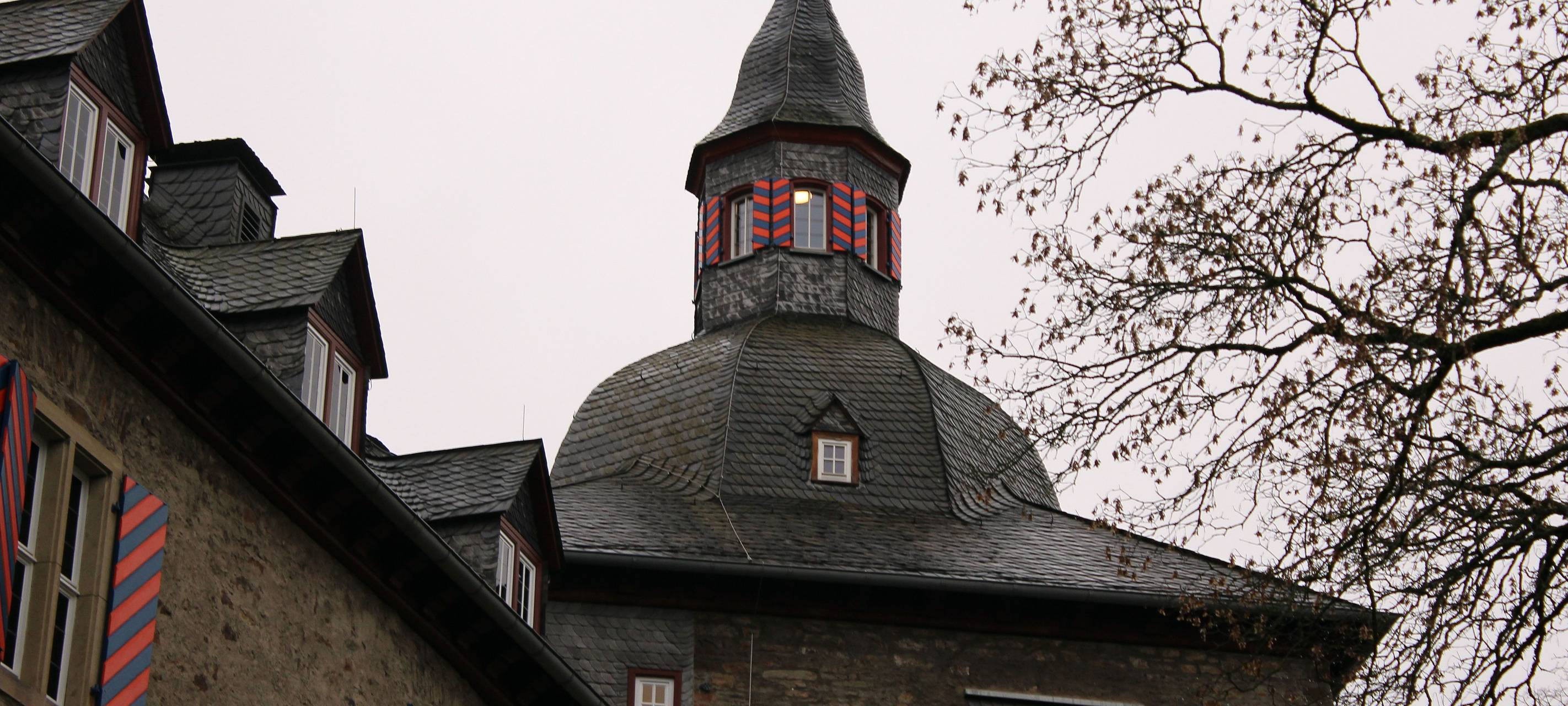 Mauersegler-Brutplätze in Siegen zählen