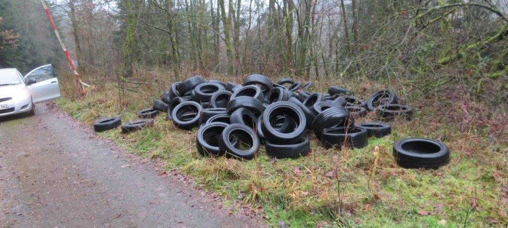 Über 100 Reifen im Wald entsorgt