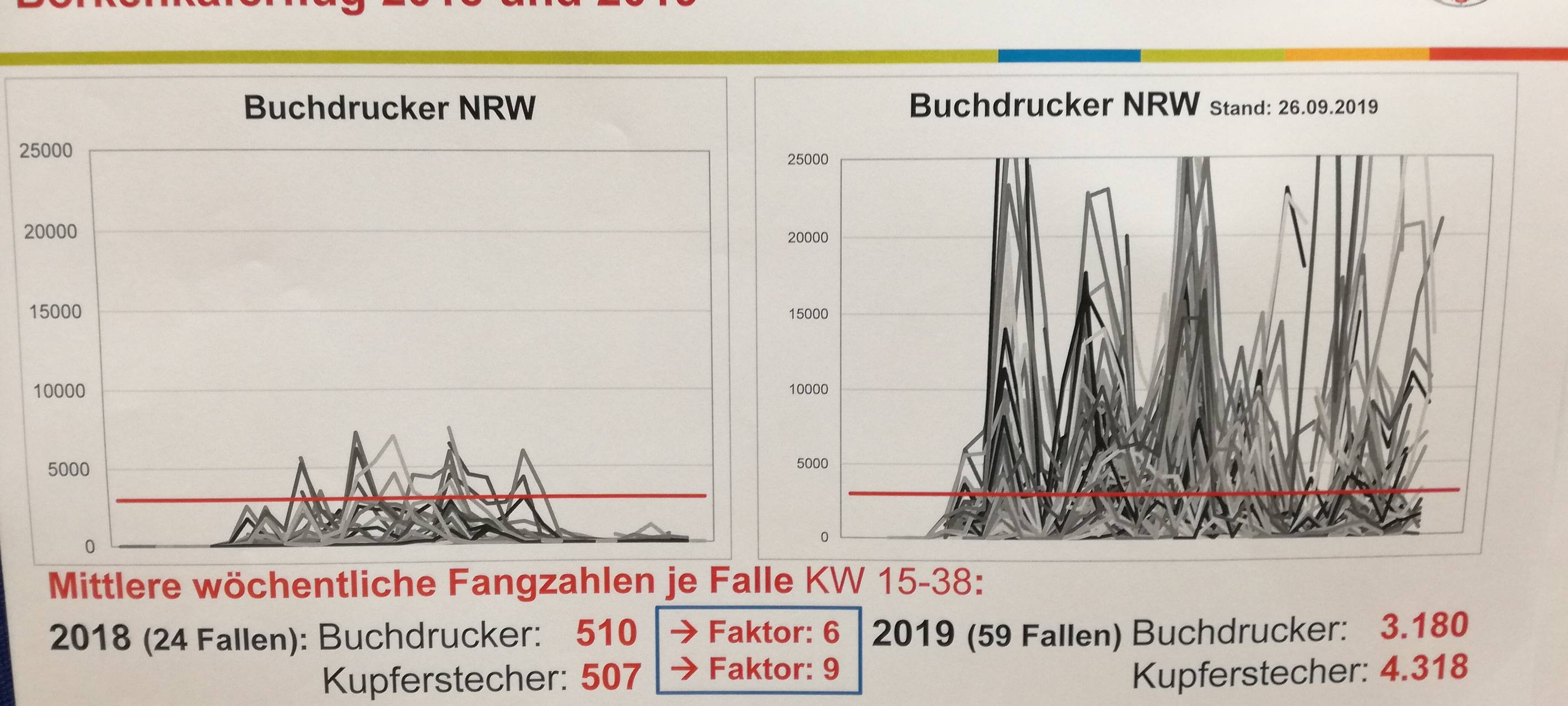 Trockenheit macht Wald zu schaffen