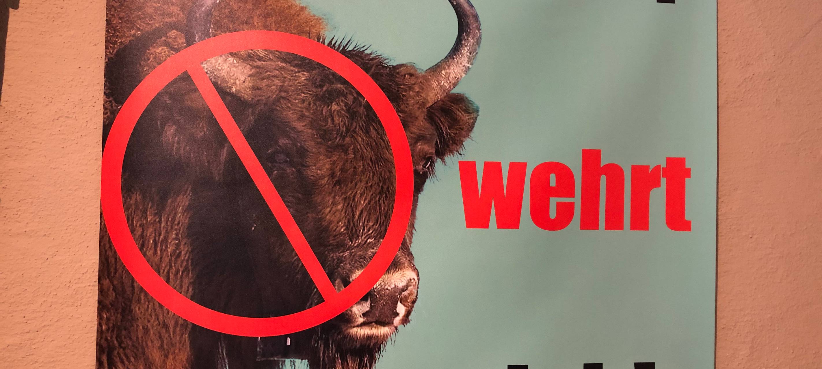 Latrop fordert, Wisent-Projekt zu beenden