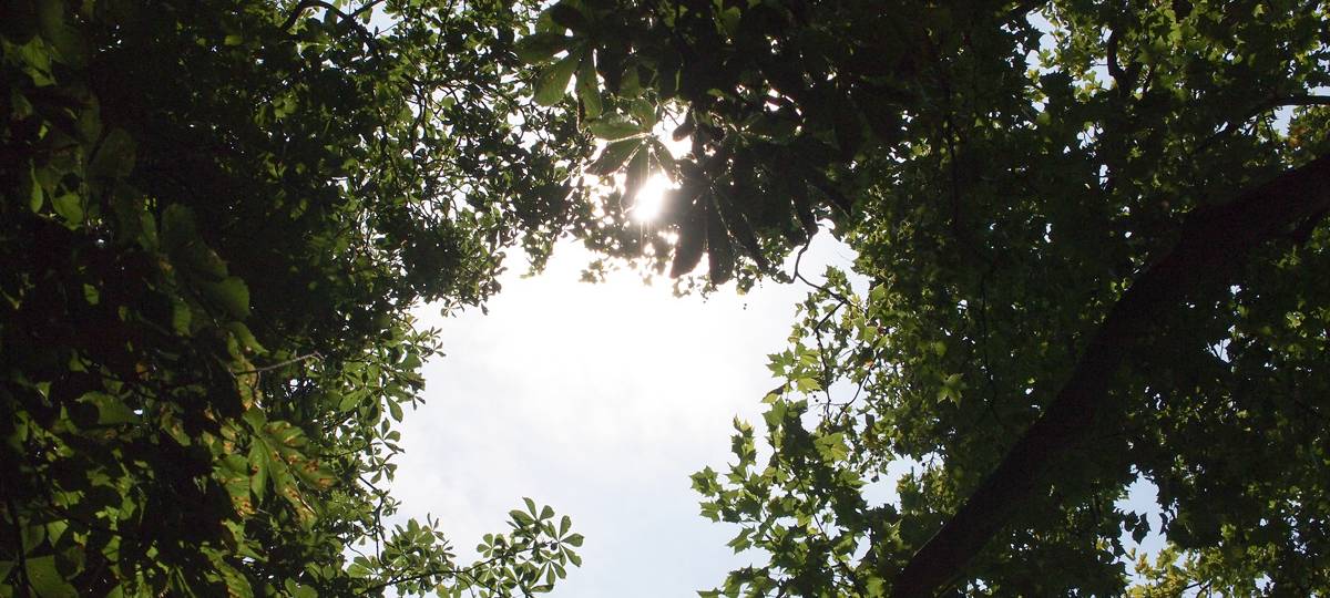 Der Juli war ein durchschnittlicher Sommermonat