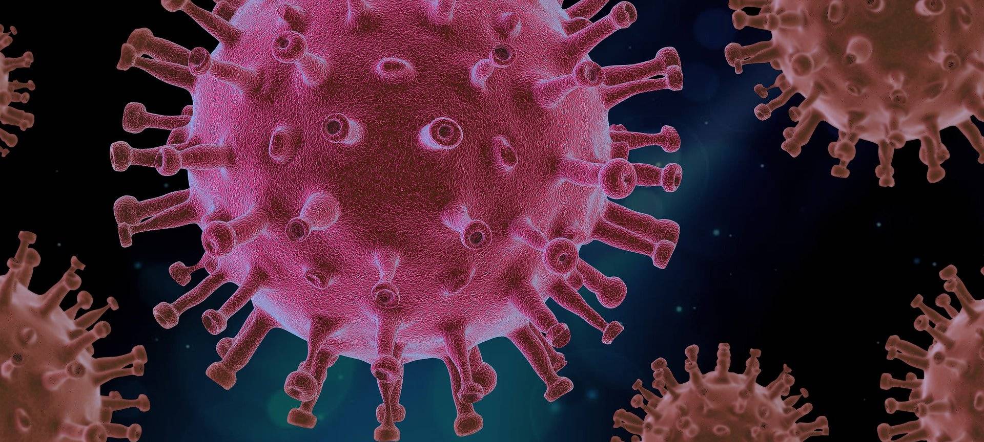 Corona: Siegen-Wittgenstein ist jetzt "weißer Kreis"