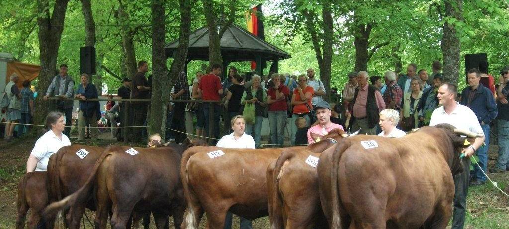 Stünzelfest findet am Wochenende statt