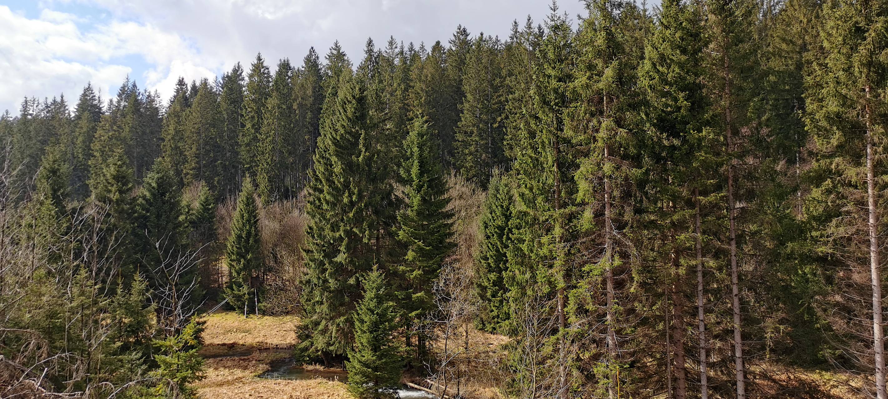 Geldpreise für Klimaschutz-Projekte