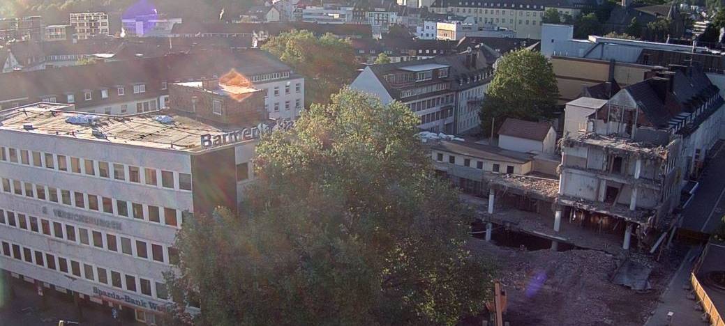 Platane in Siegens Unterstadt