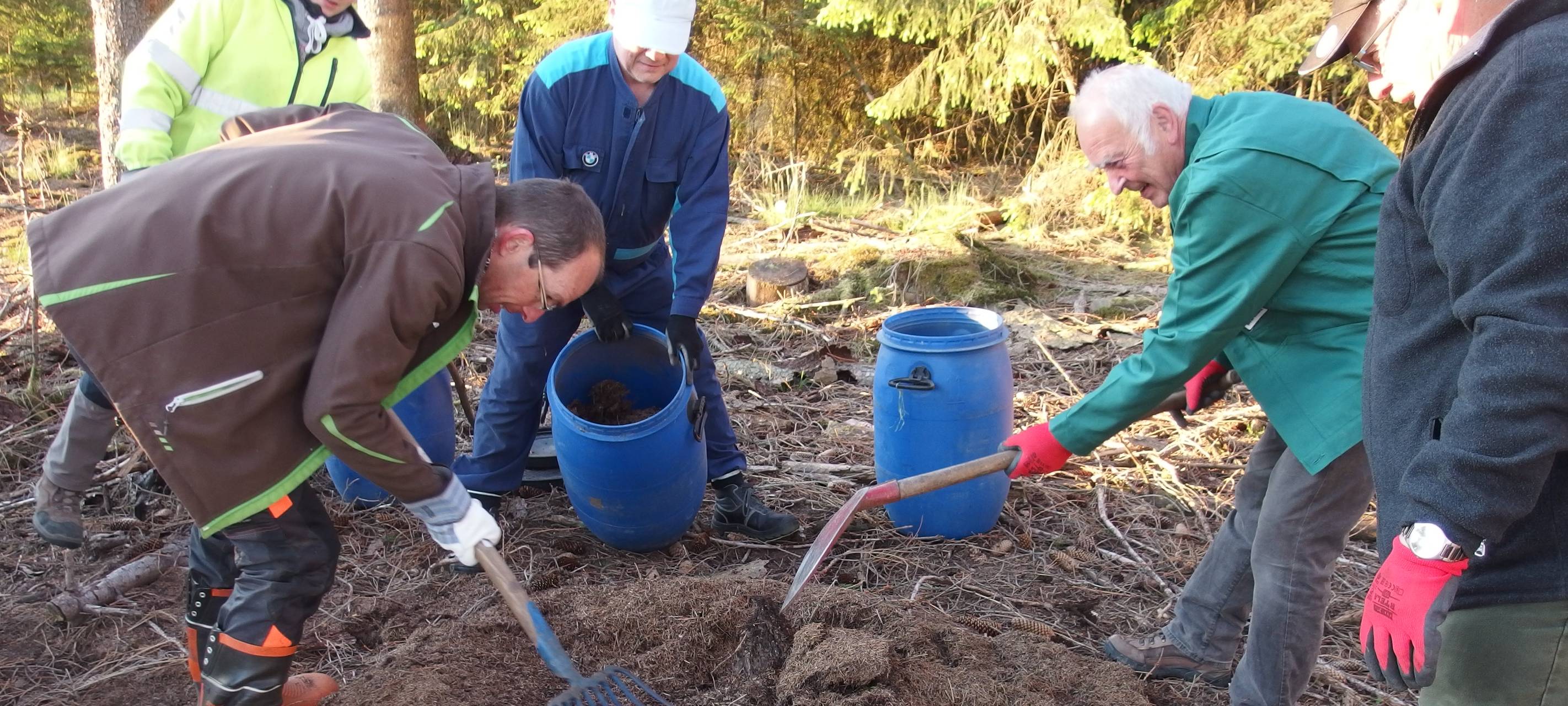 Fünf Ameisenvölker umgesiedelt