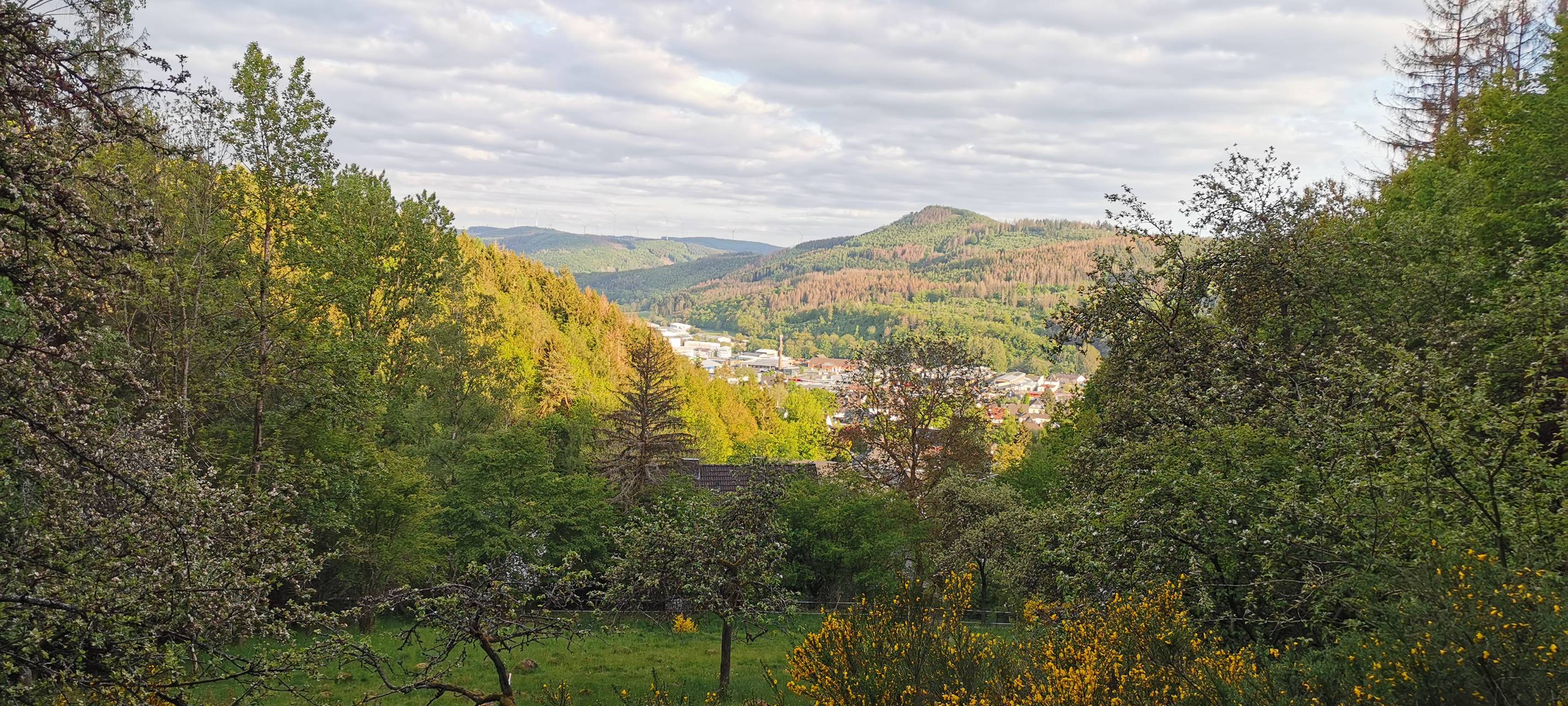 Viel Sonne im Wonnemonat