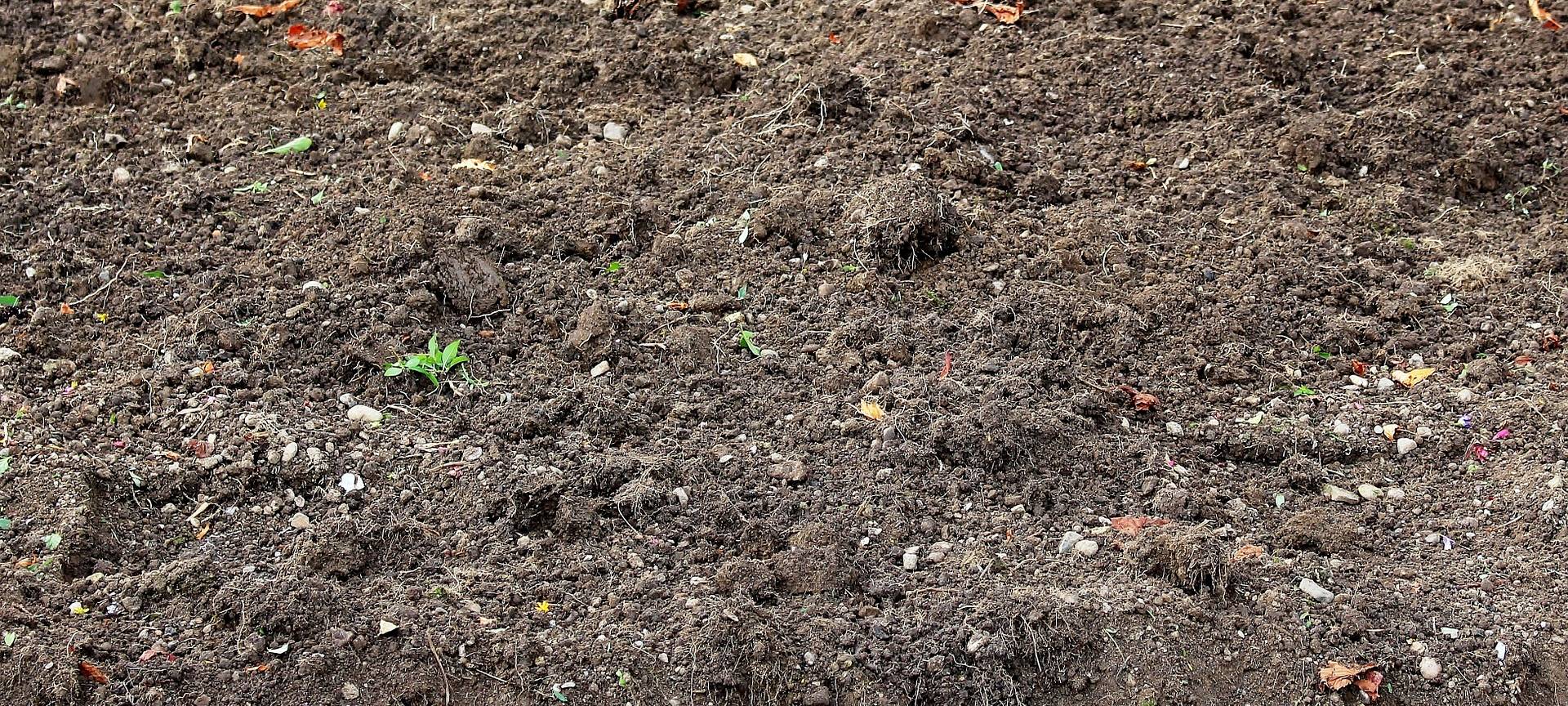 Sehr hoher Anteil an Schwermetallen im Kreuztaler Erdwall