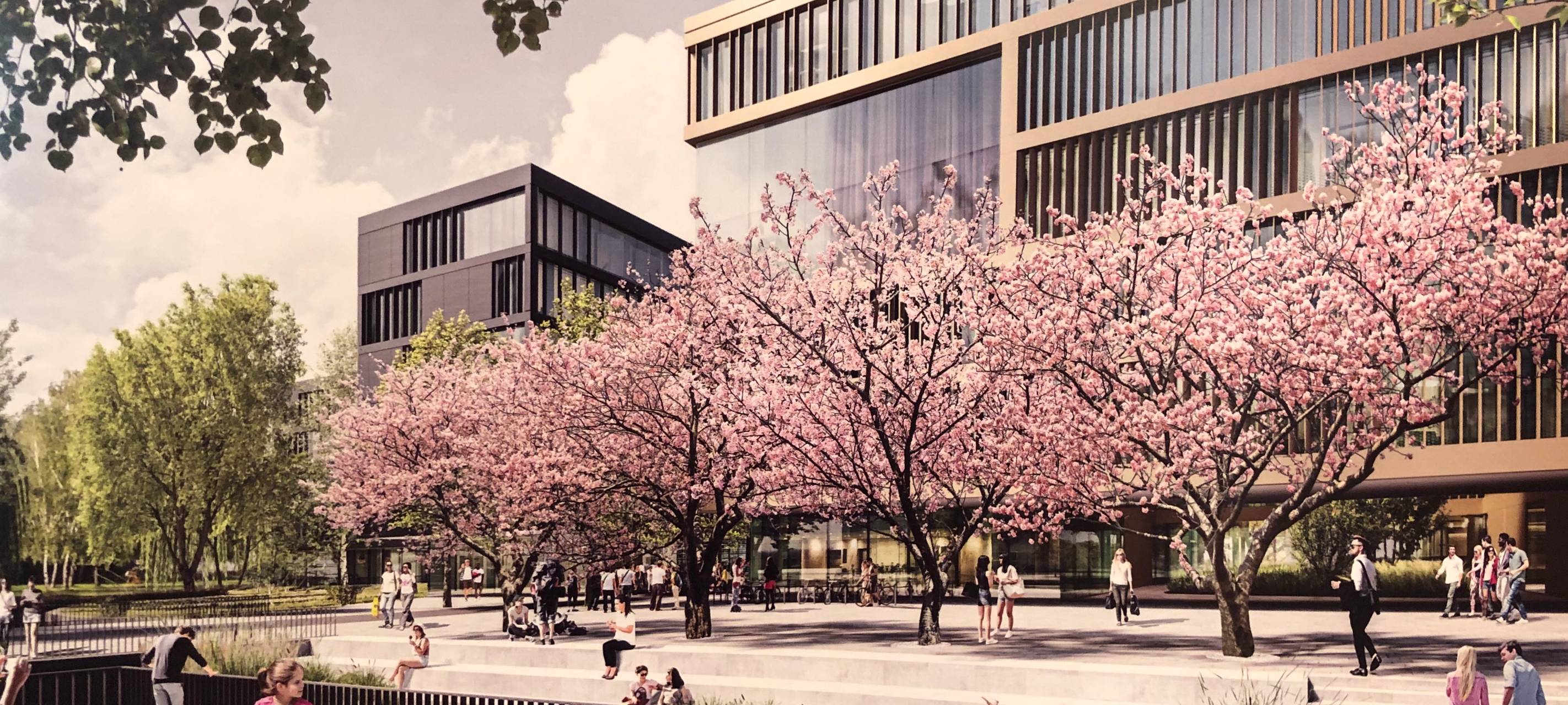 Mehr Uni in der Siegener Innenstadt