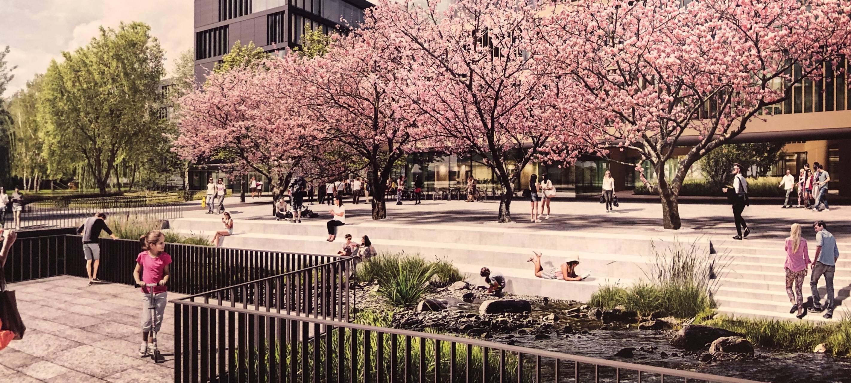 Mehr Uni in der Siegener Innenstadt