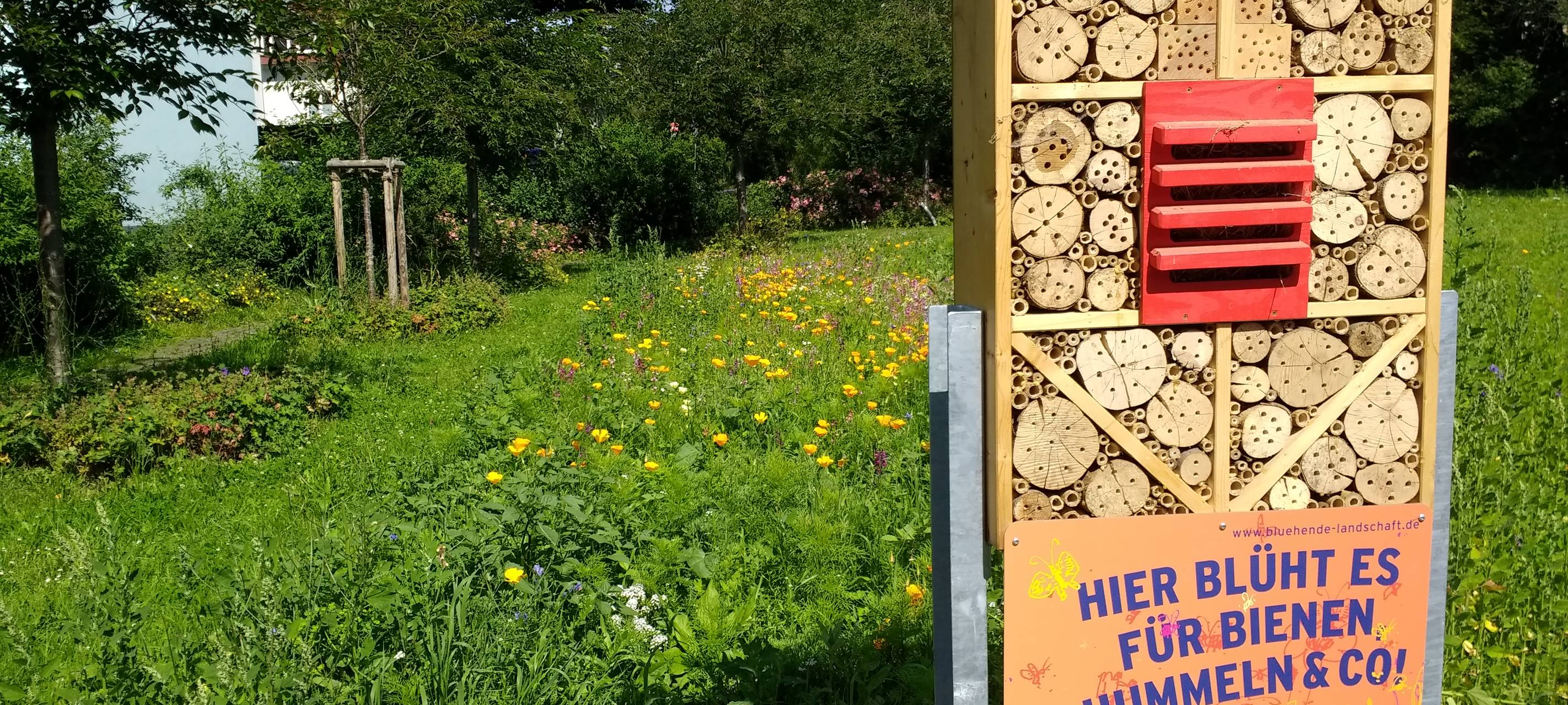 11 neue Insektenhotels für Siegen