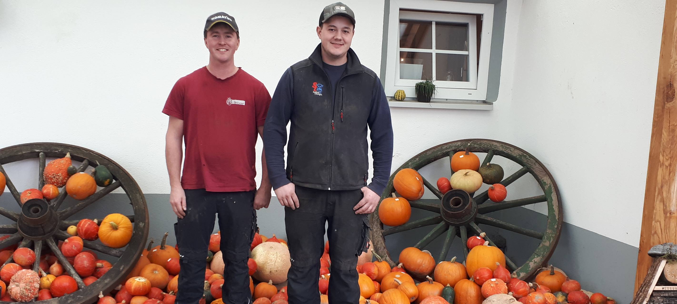 100 verschiedene Gattungen