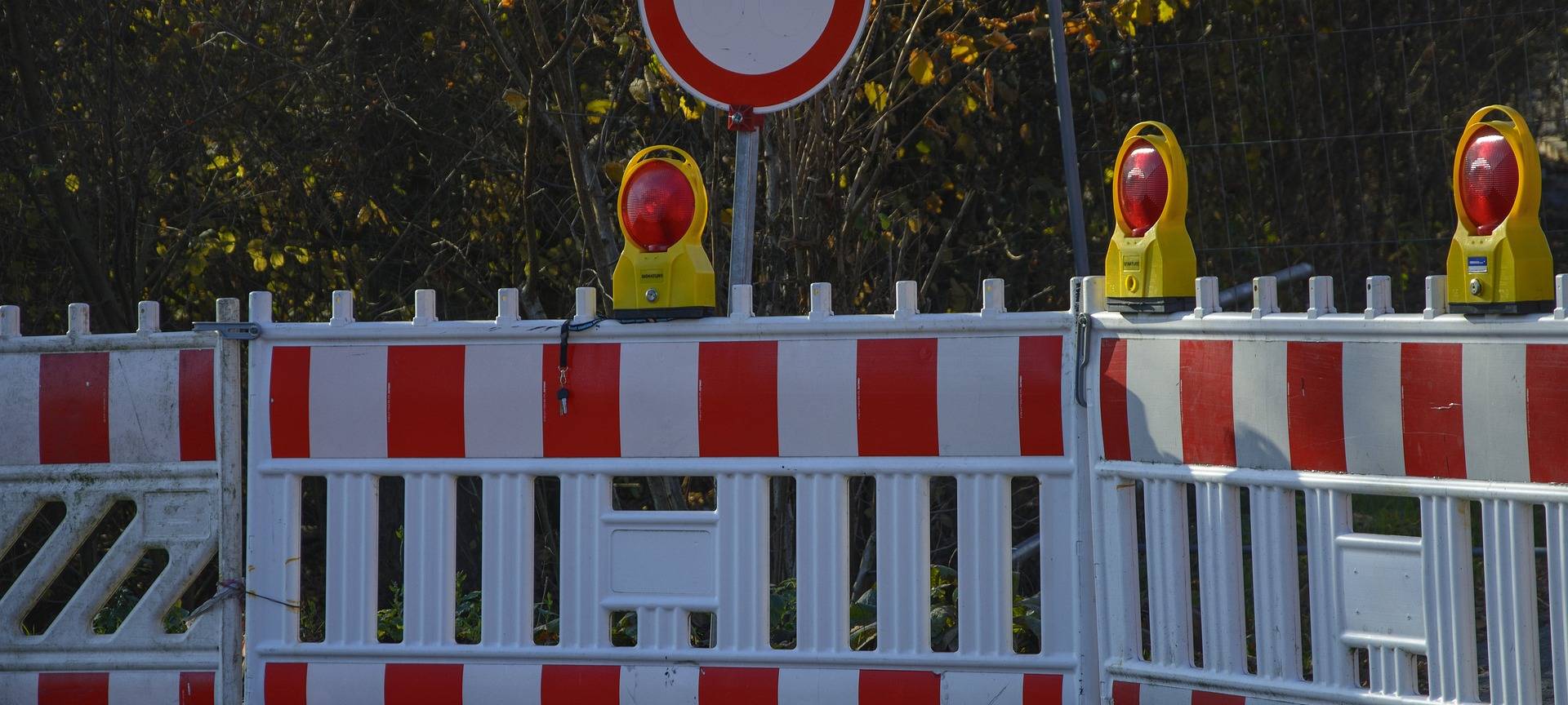 Baumfällarbeiten in Siegen-Wittgenstein