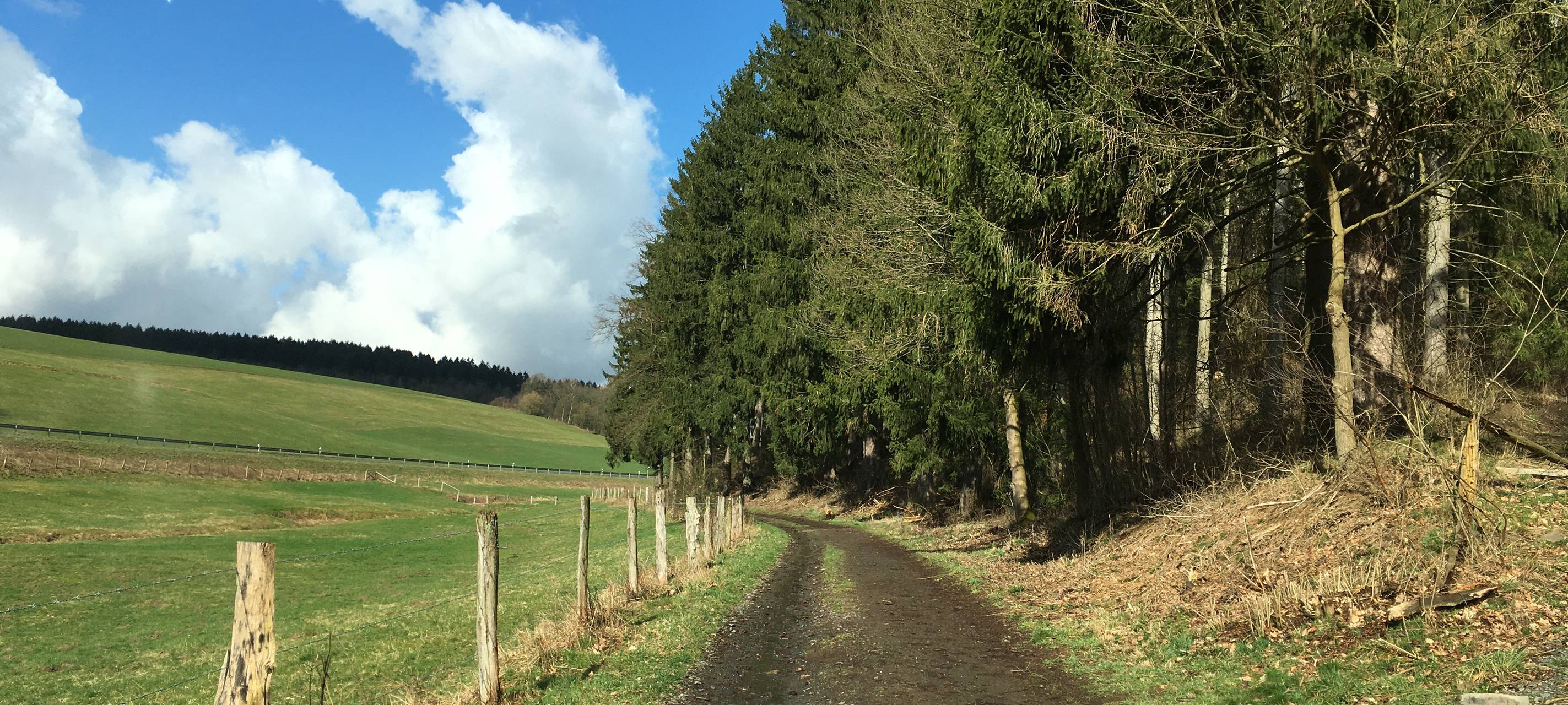 Stadt Siegen baut Radwege aus