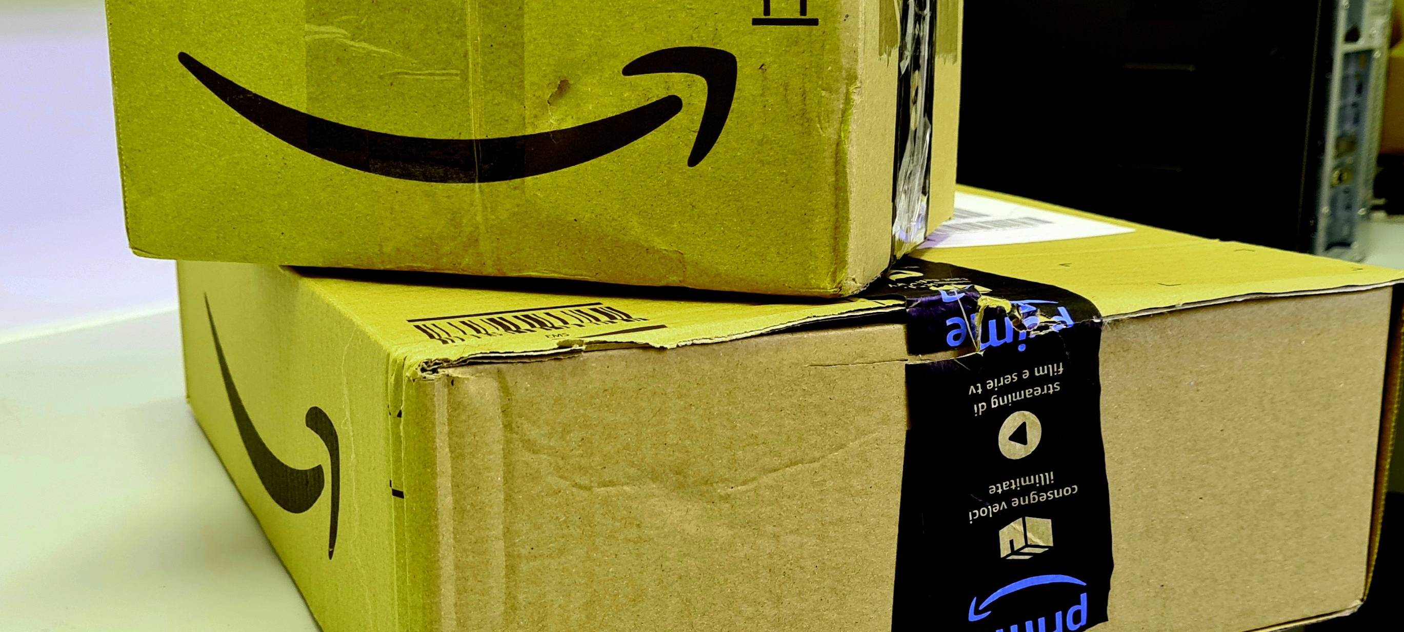 Amazon-Ansiedlung