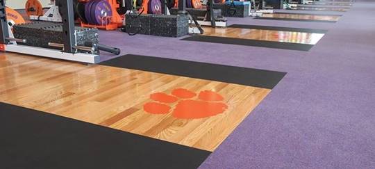 3. Platz nach Wittgenstein