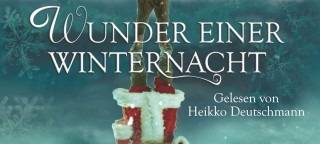 Wunder einer Winternacht