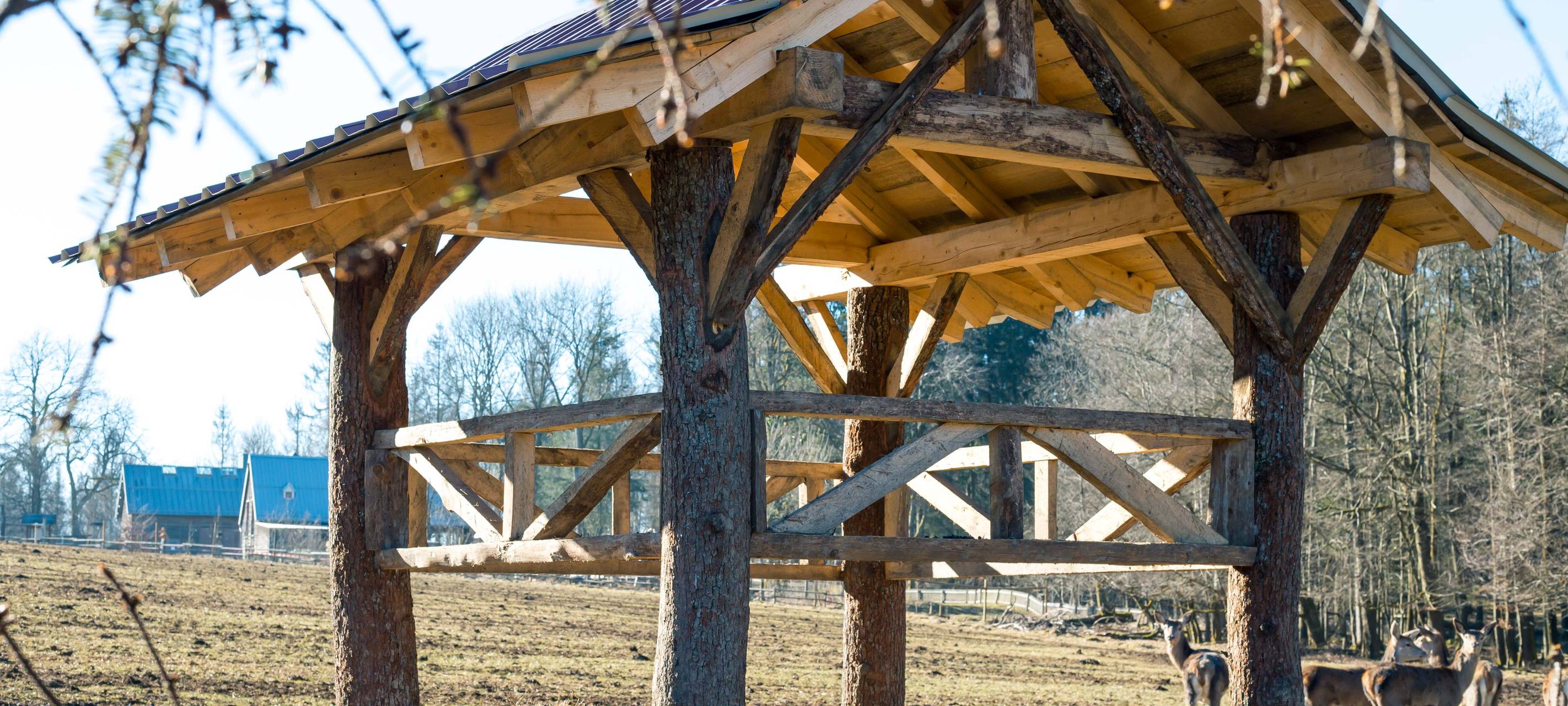 Neue Futterstellen für Rotwild