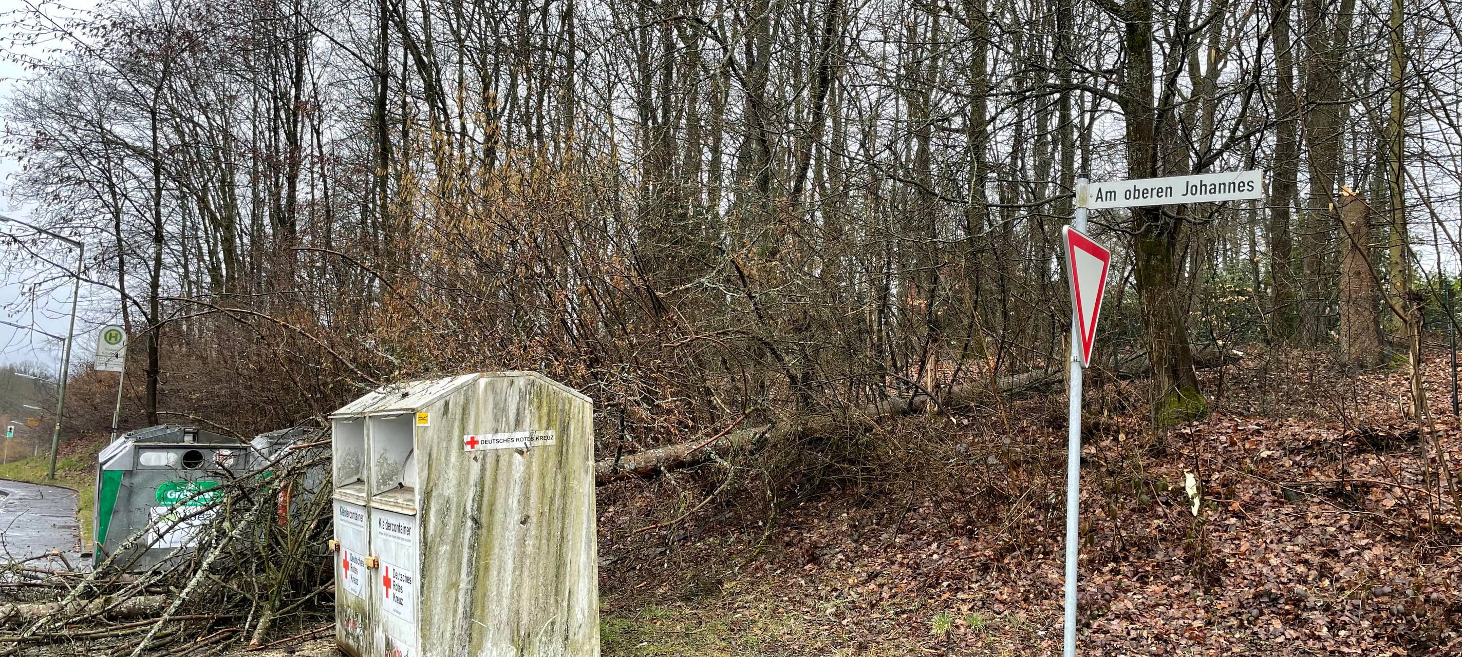 Sturm rüttelt Siegen-Wittgenstein durch