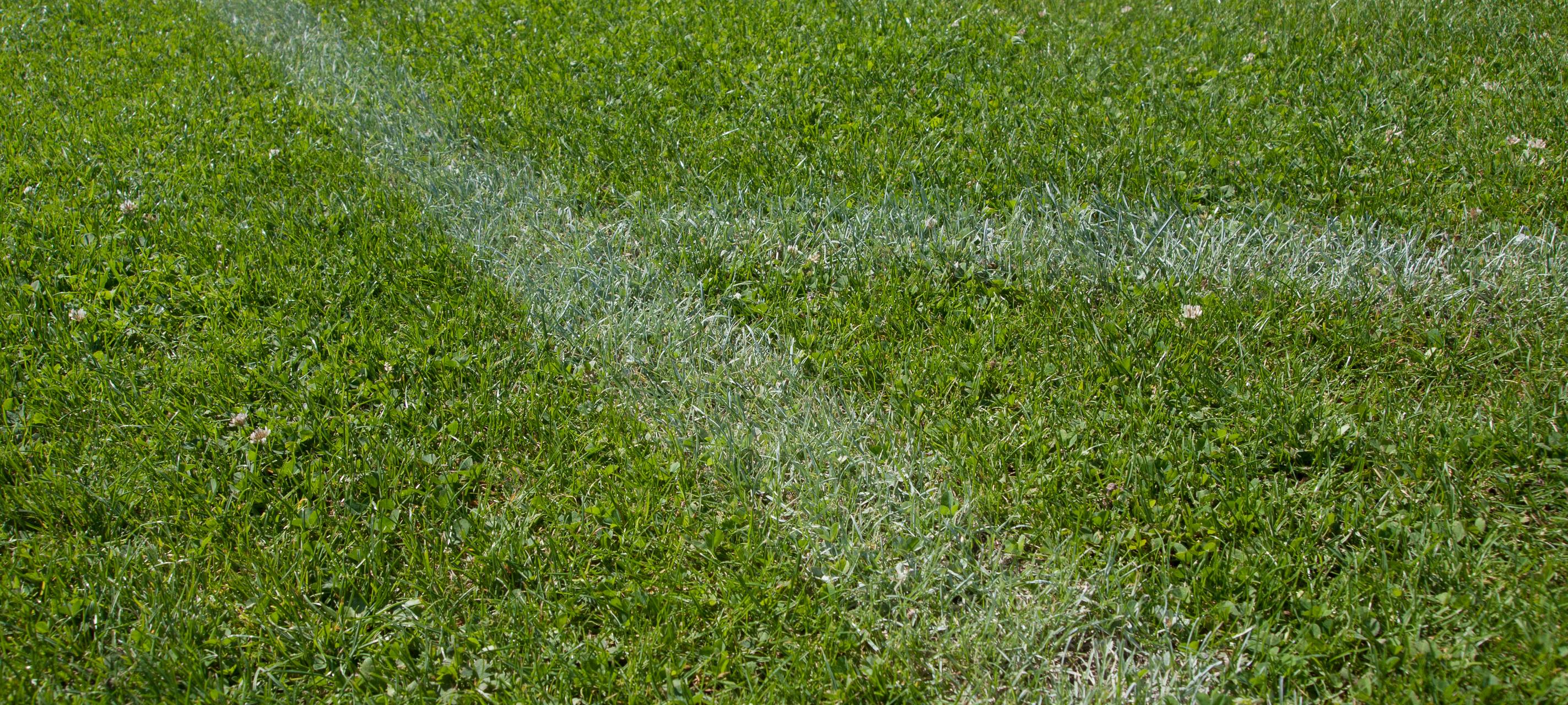 Erstes Lokalderby in der Oberliga in der neuen Saison