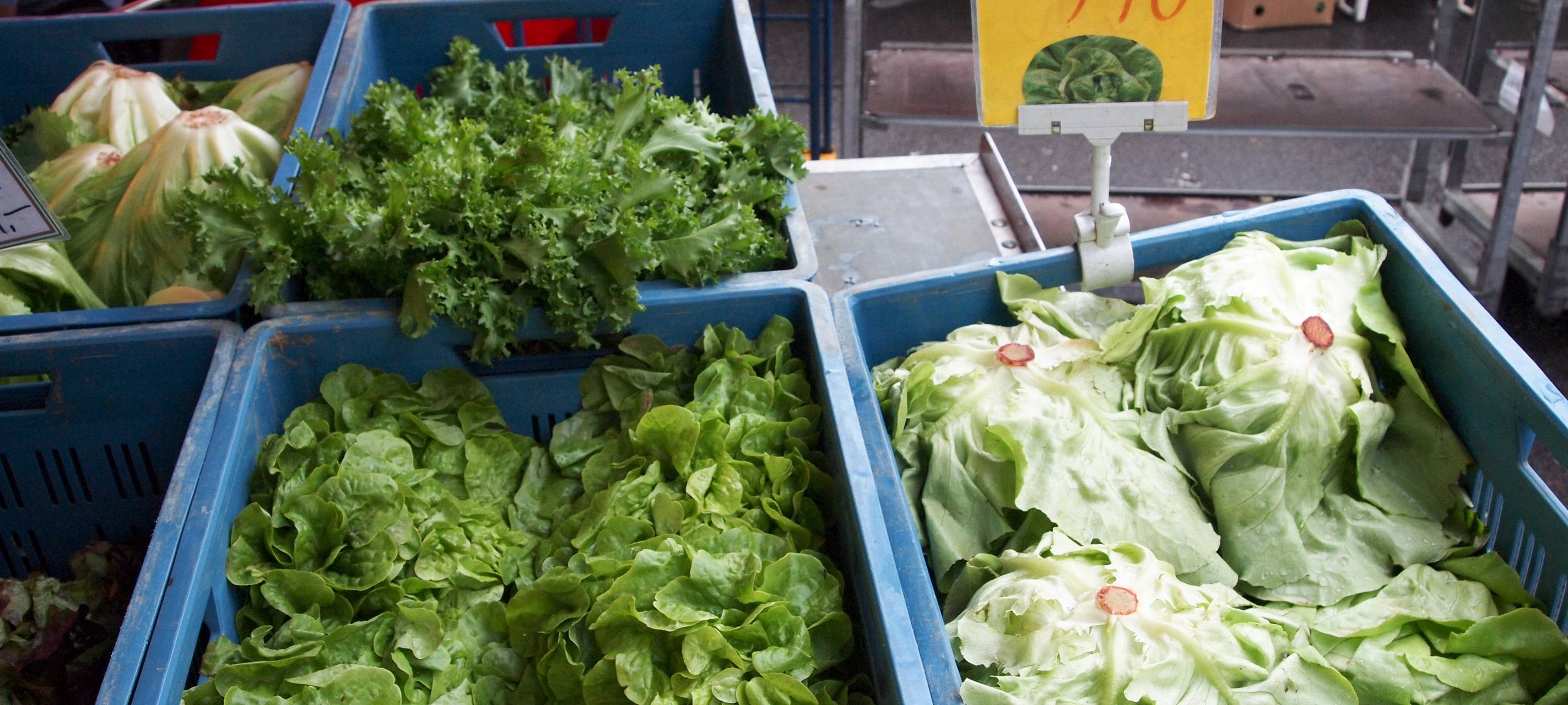 SPD-Fraktion fordert Bad Berleburger Wochenmarkt zurück