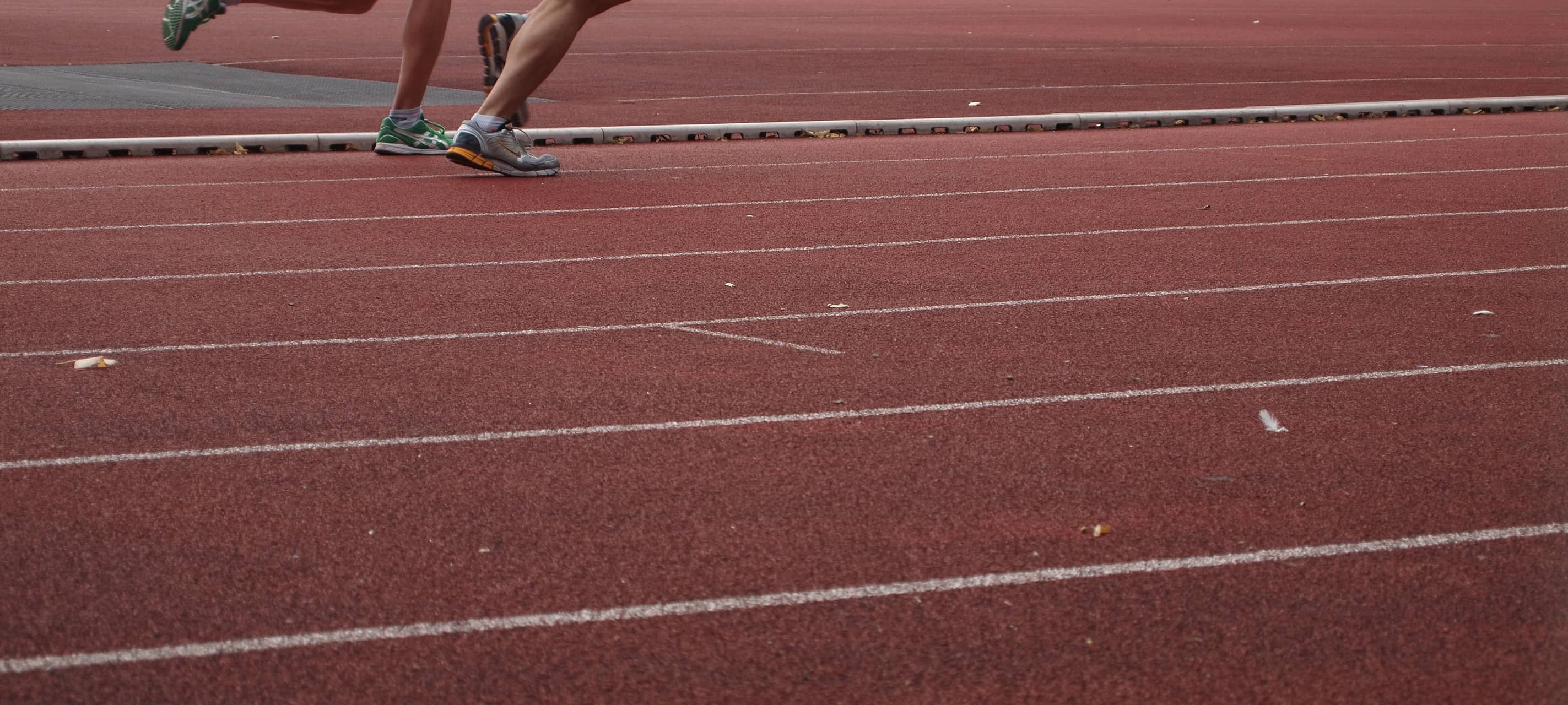 Viele Trainingsmöglichkeiten