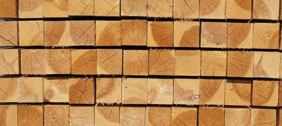 Holzpreis in schwindelerregender Höhe