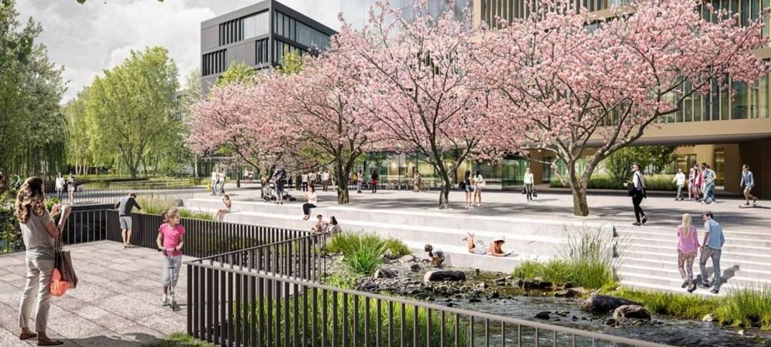 Reaktionen der Politik auf verzögerten Umzug der Uni Siegen