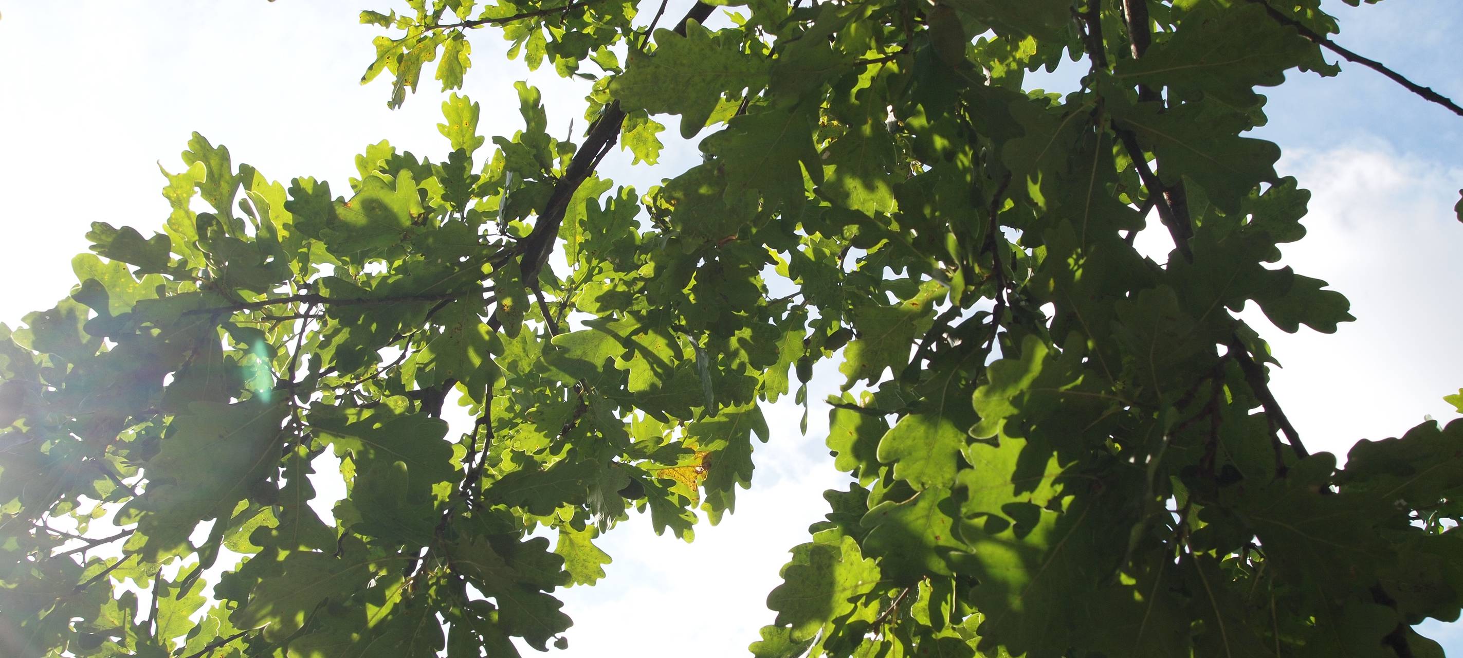 Temperaturrekord in Siegen im September