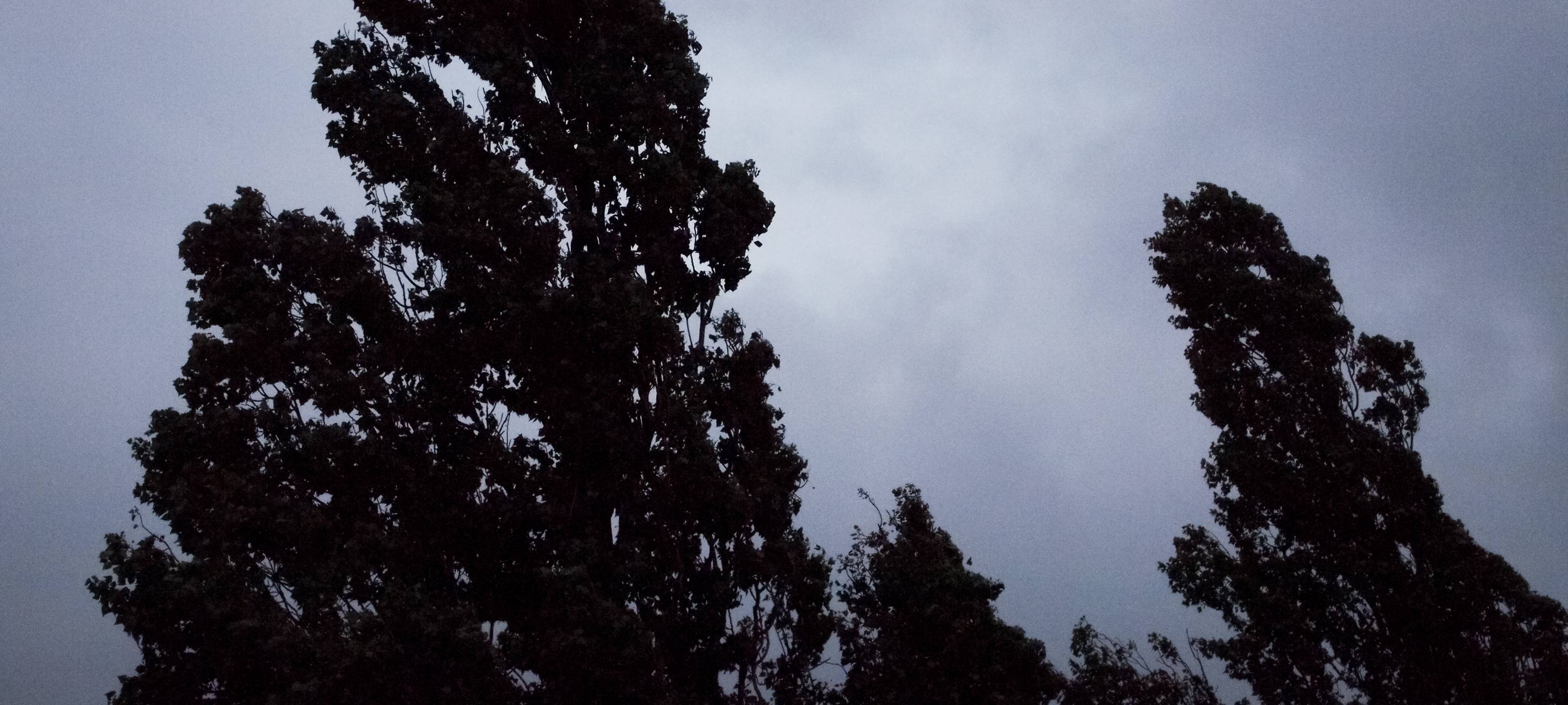 Sturmtief "Sabine" ist da