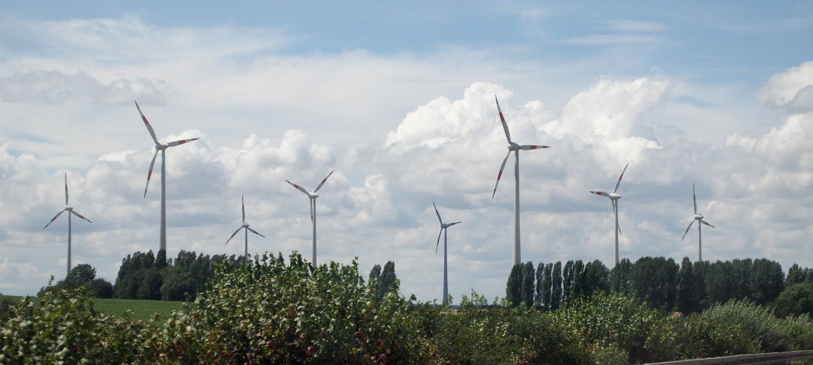 Genehmigung für Windpark