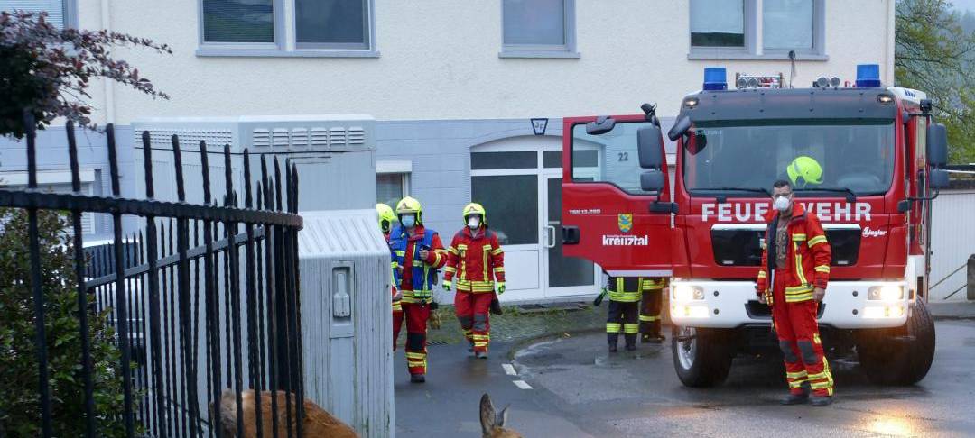 Reh steckt im Zaun fest