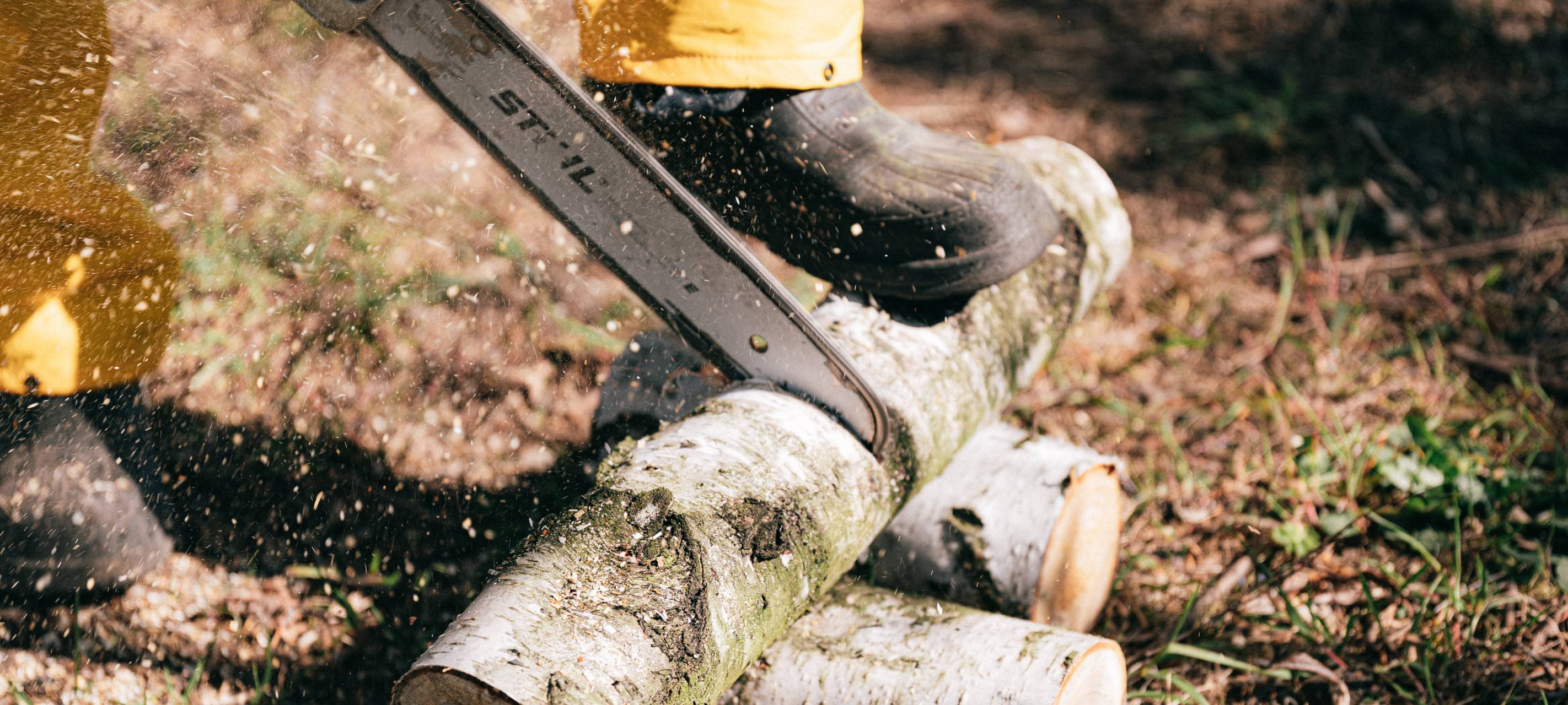 Motorsägenkurs für Frauen in Vormwald