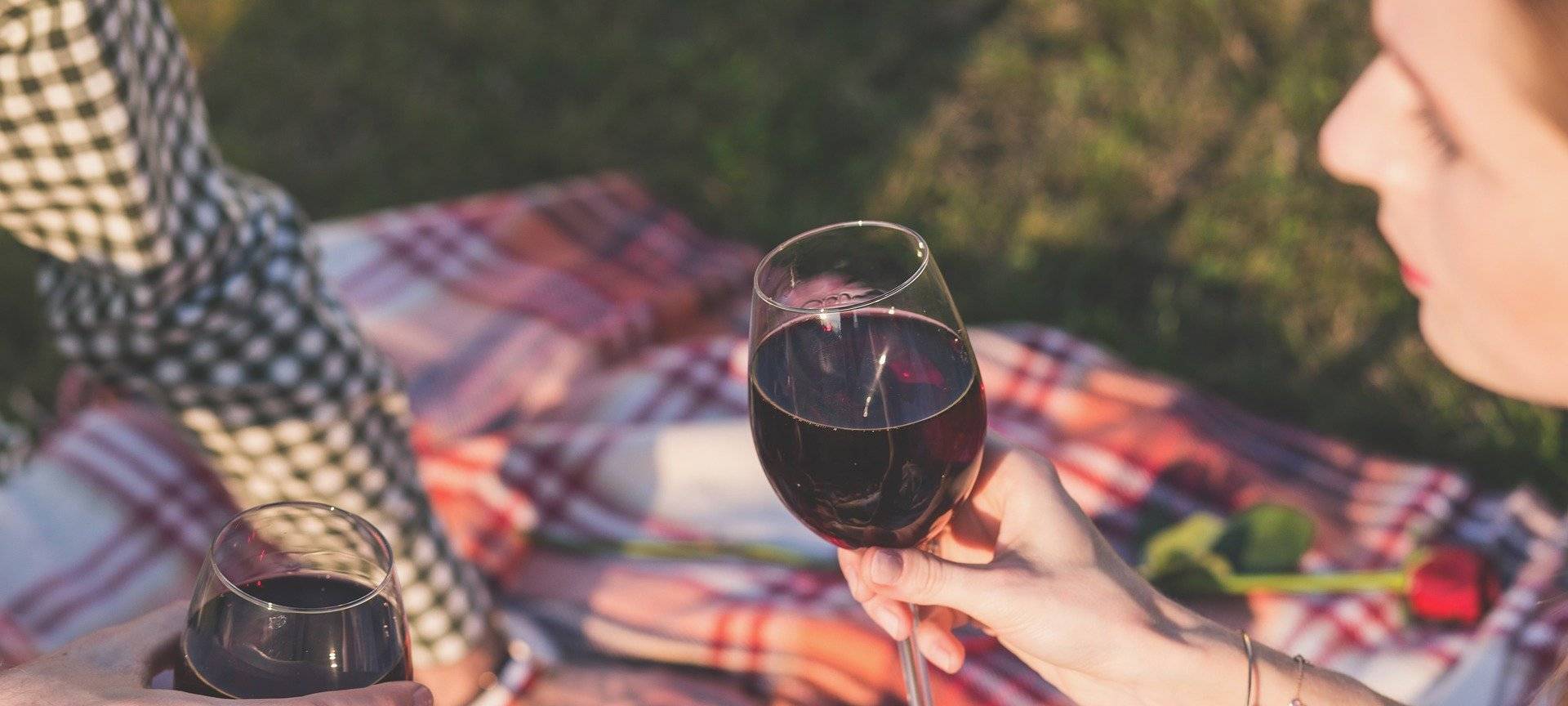 Siegener "Picknick im Park" fällt erneut aus